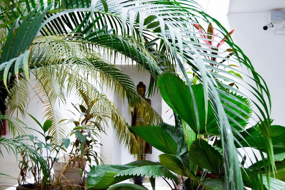 Hotel Zendero Tulum Eksteriør billede