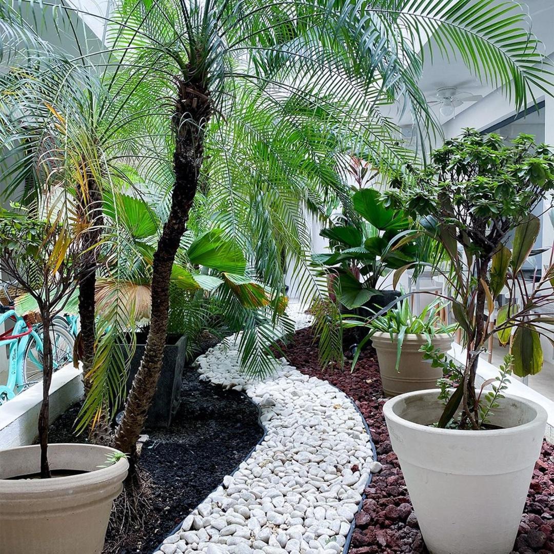Hotel Zendero Tulum Eksteriør billede
